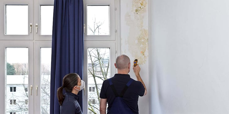 Damp and mould social housing